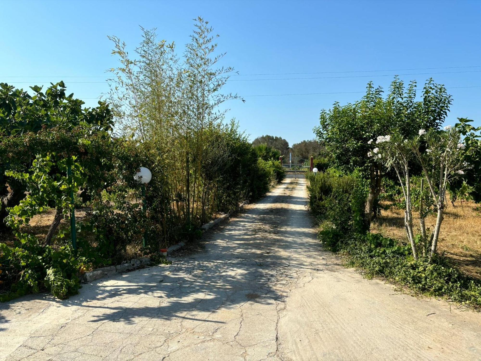 Villa Casa Domitia Latiano Esterno foto